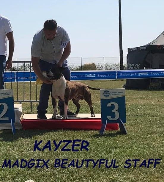 Kayzer Madgix beautyful staff